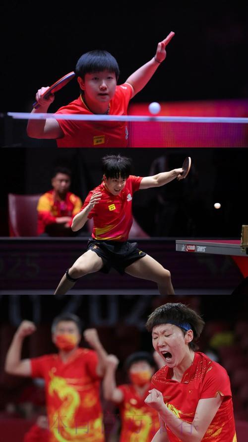 乒乓球世界杯精彩赛事实时直播 乒乓球世界杯精彩赛事实时直播